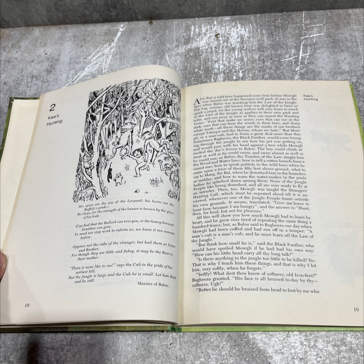 jungle book book, by rudyard kipling, 1968 Hardcover image 4