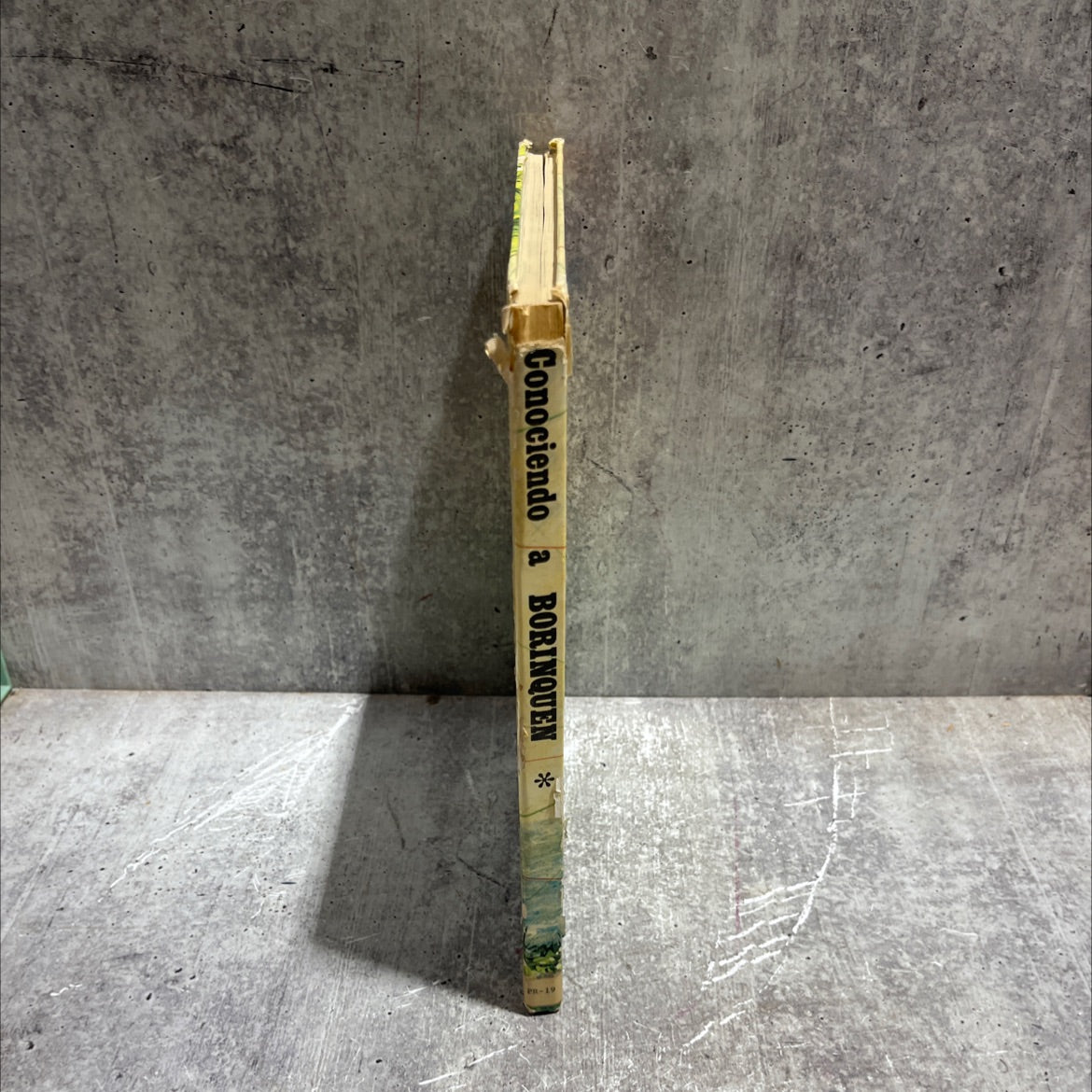 knowing borinquen book, by aurelio perez martinez, 1973 Hardcover image 4