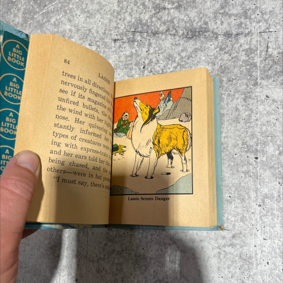 lassie adventure in alaska book, by george s. elrick, 1967 Paperback image 4