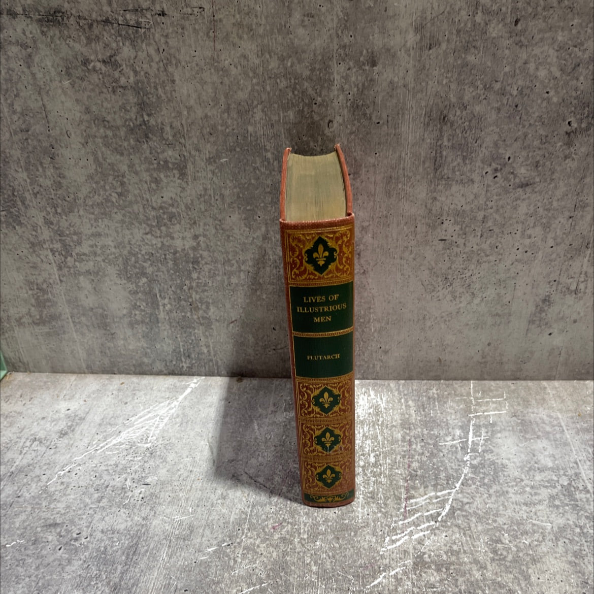 lives of illustrious men book, by plutarch, unknown Hardcover image 4