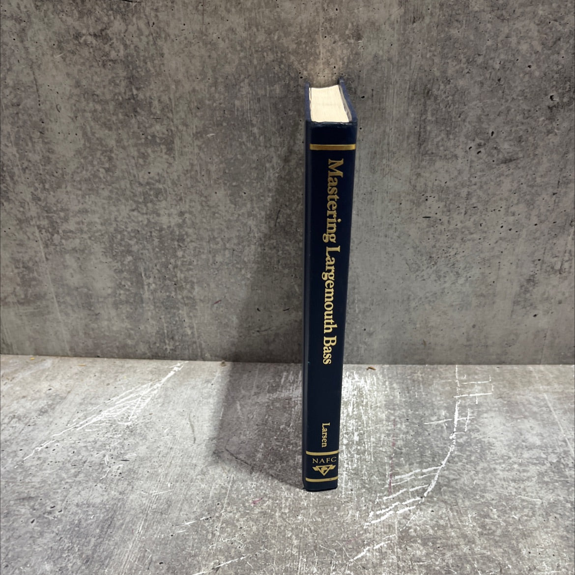 mastering largemouth bass complete angler's library book, by unknown, 1989 Hardcover image 4