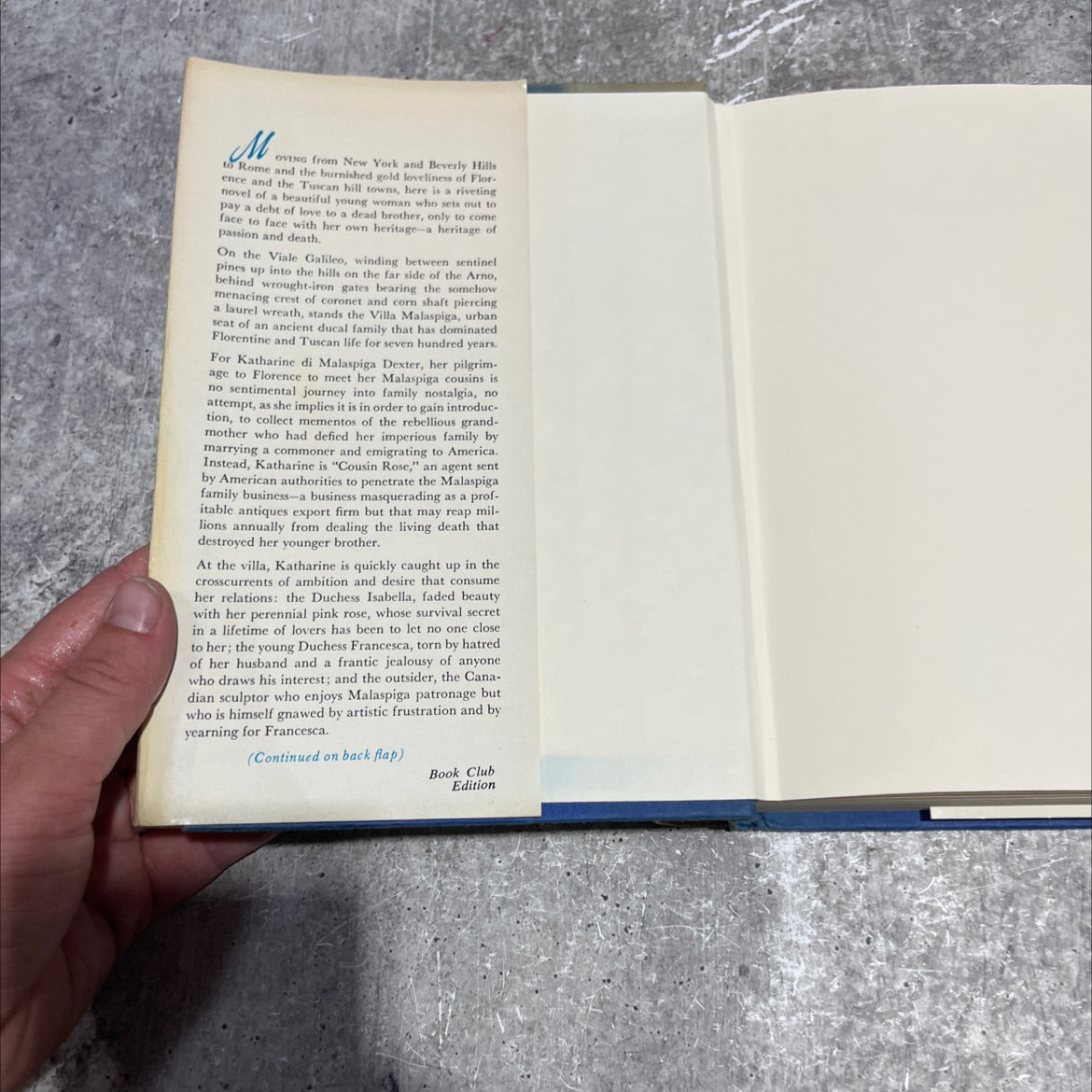 mission to malaspiga book, by evelyn anthony, 1974 Hardcover image 4