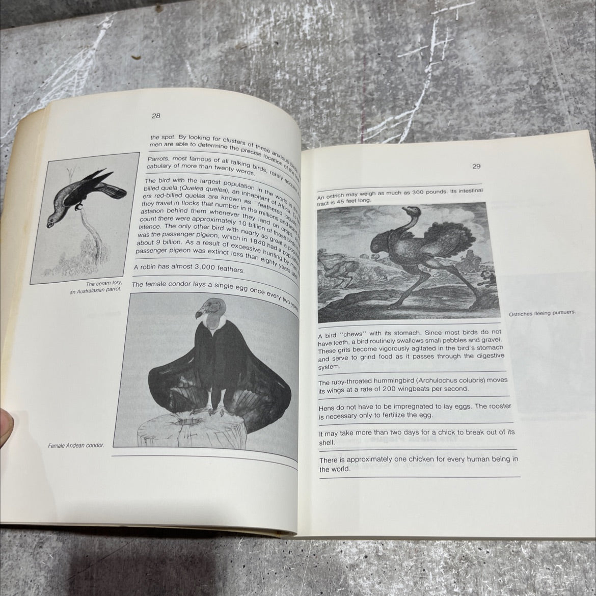 more fascinating facts book, by David Carroll, 1979 Paperback image 4