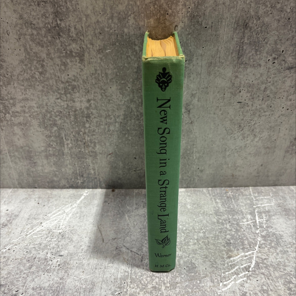 new song in a strange land book, by esther warner, 1948 Hardcover image 4