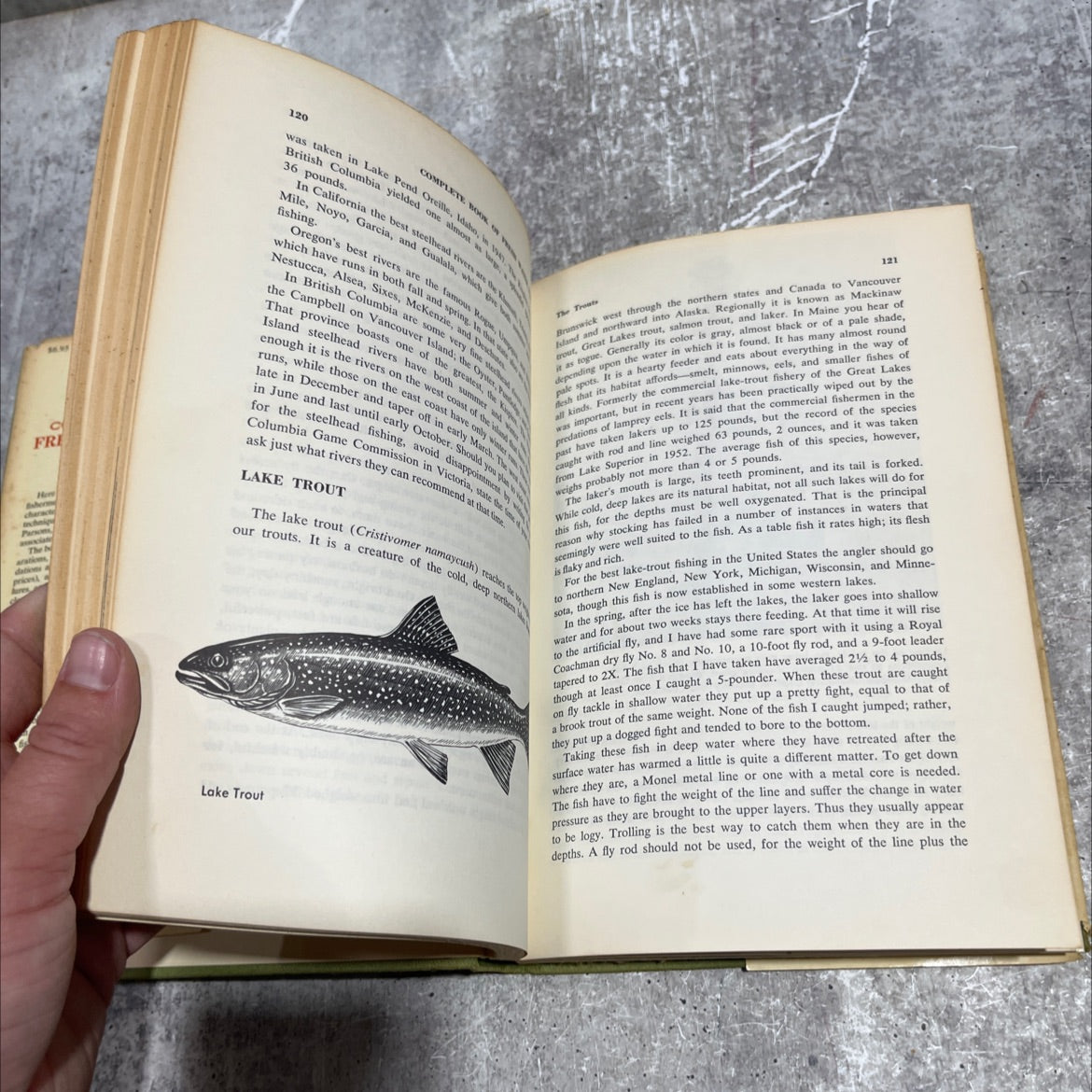 outdoor life complete book of fresh water fishing book, by P. Allen Parsons, 1963 Hardcover image 4