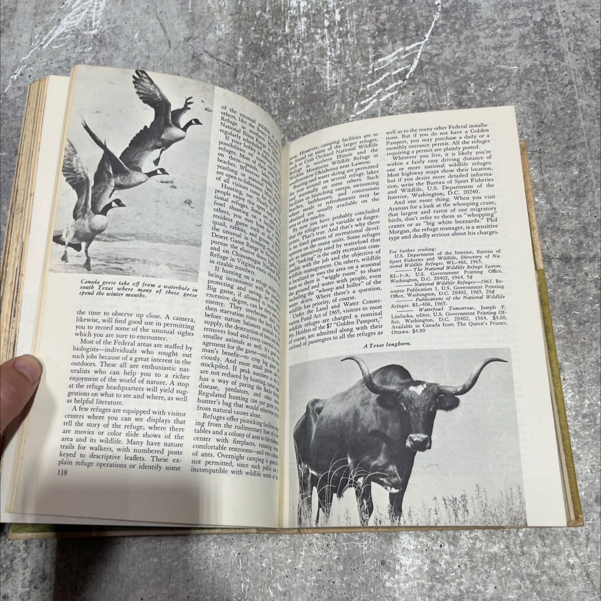 outdoors usa book, by unknown, 1970 Hardcover image 4