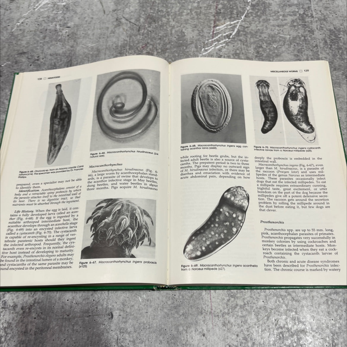 parasitology for veterinarians book, by jay r. georgi, 1985 Hardcover image 4