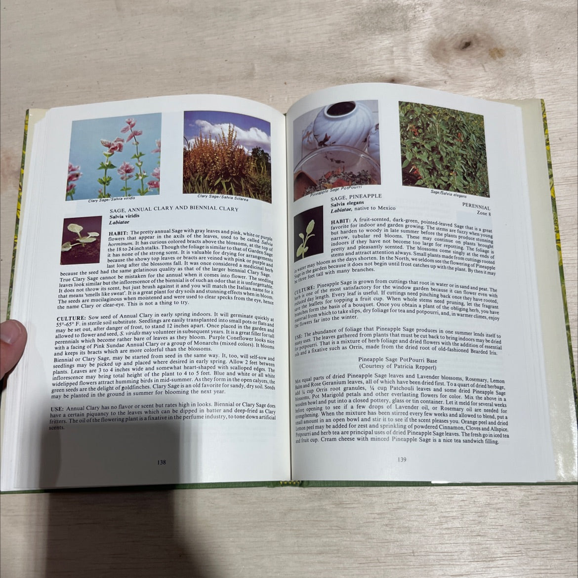 park's success with herbs book, by gertrude b. foster, rosemary f. louden, 1980 Hardcover image 4