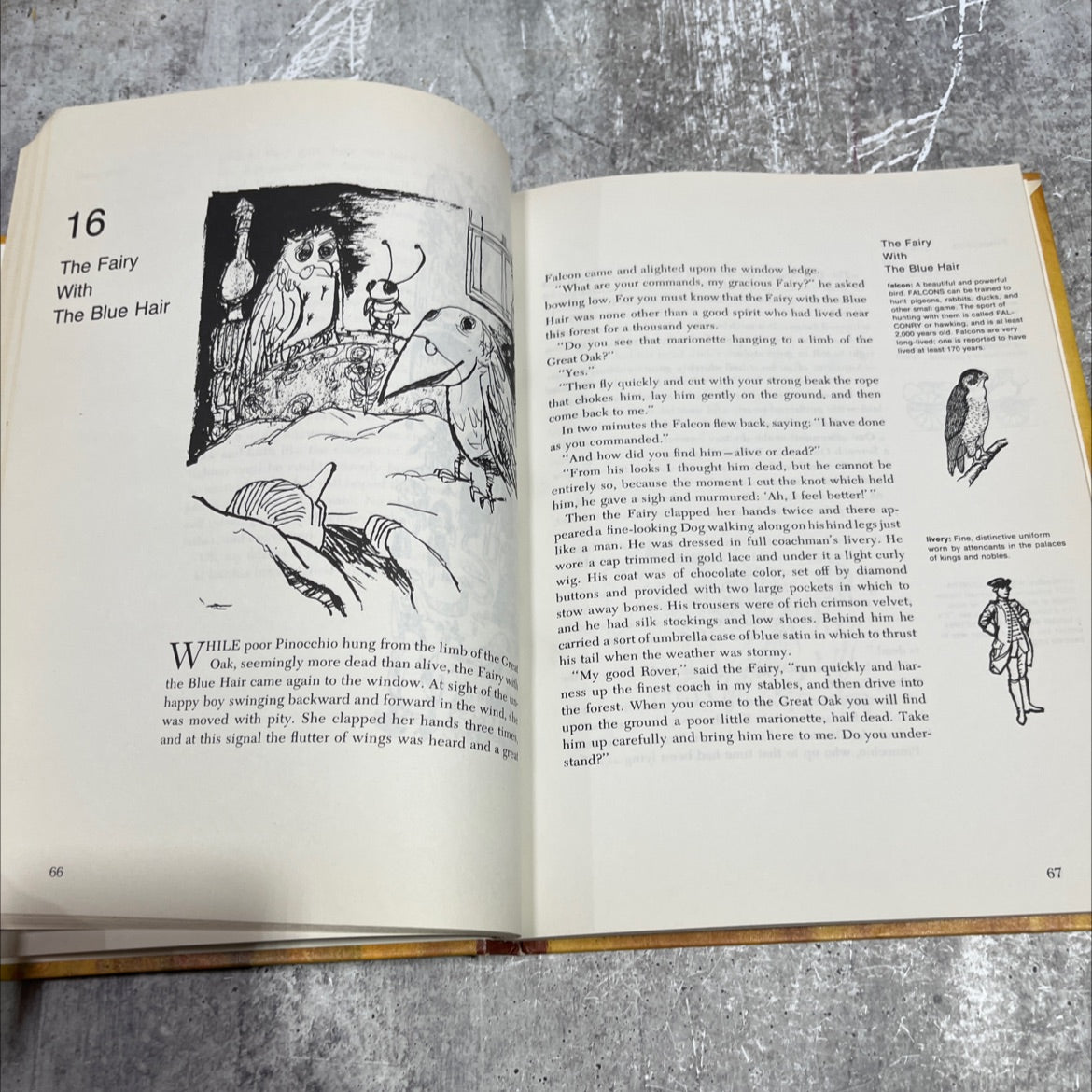 pinocchio book, by carlo collodi, 1968 Hardcover image 4