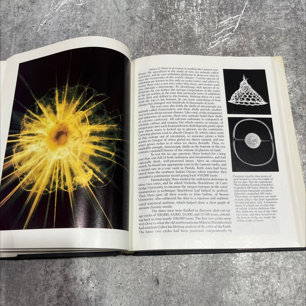 planet earth book, by jonathan weiner, 1986 Hardcover image 4