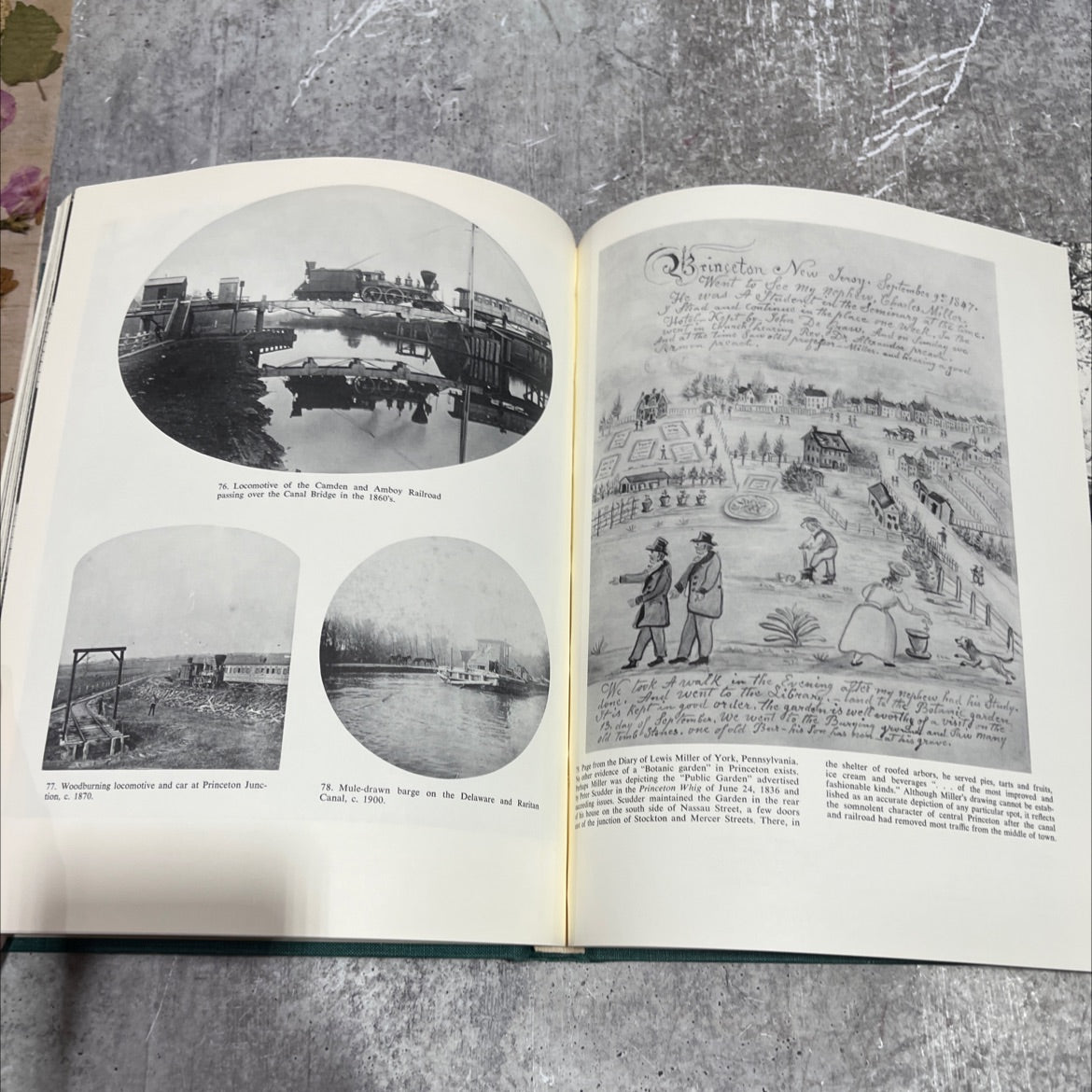 princeton architecture a pictorial history of town and campus book, by constance m. greiff, mary w. gibbons, elizabeth image 4