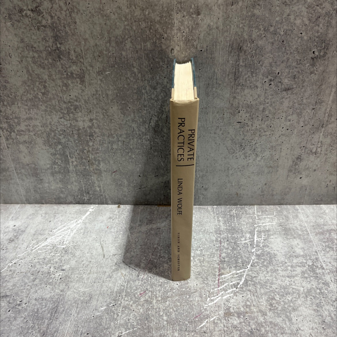 private practices book, by linda wolfe, 1979 Hardcover image 4