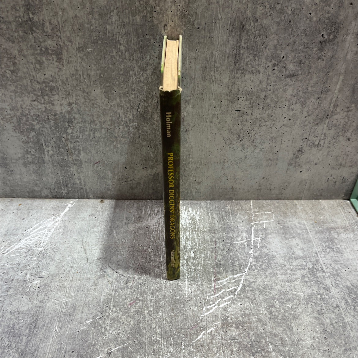 professor diggins' dragons book, by Felice Holman, 1966 Hardcover image 4