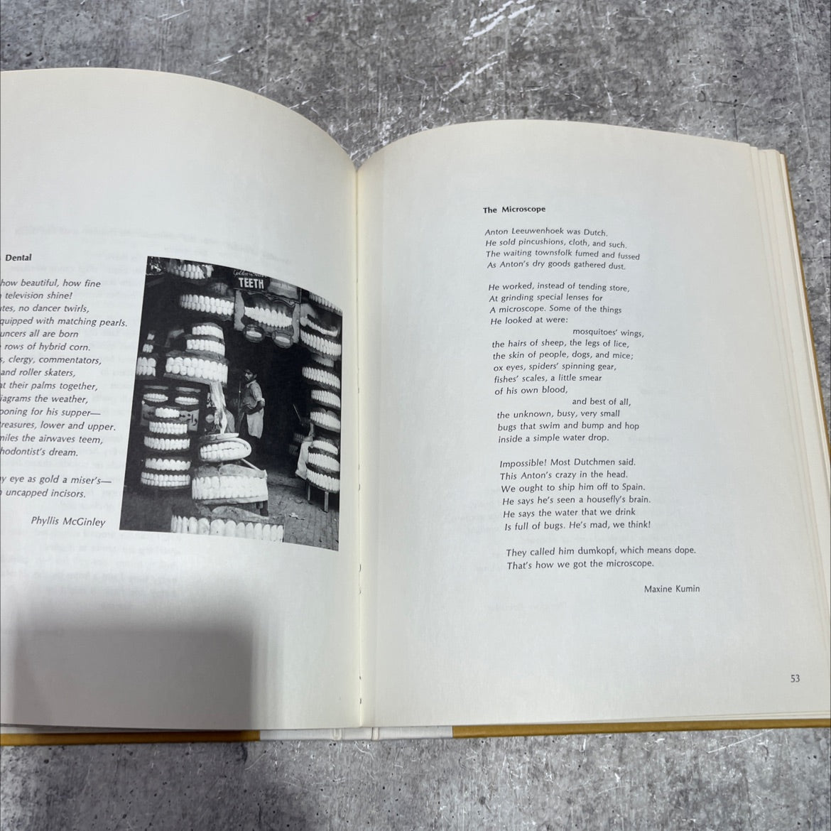 reflections on a gift of watermelon pickle... and other modern verse book, by stephen dunning, edward lueders, hugh image 4