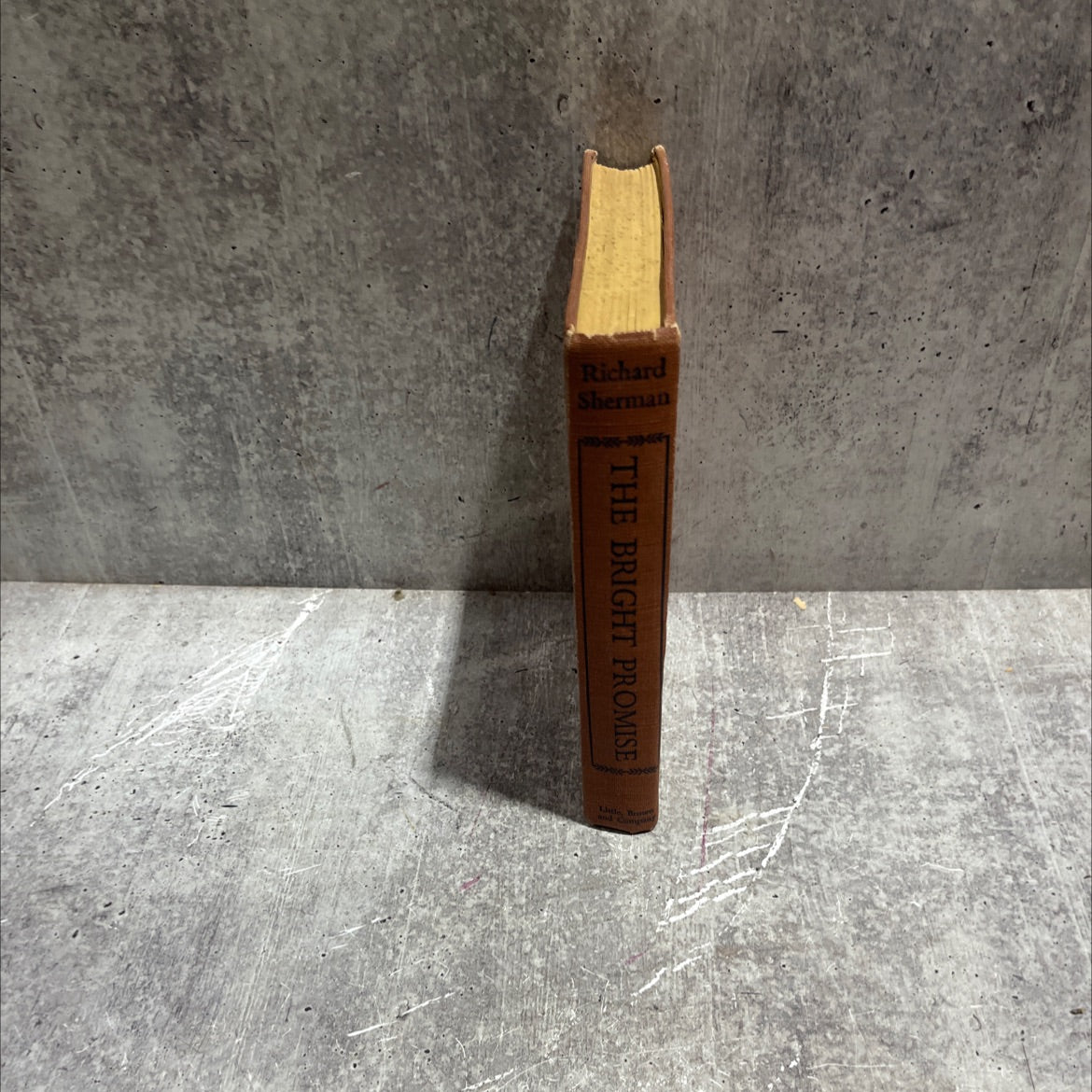 richard sherman tea the bright promise book, by richard sherman, 1947 Hardcover image 4