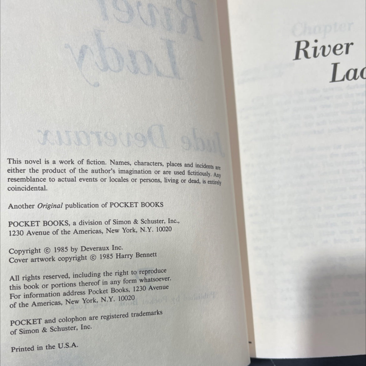 river lady book, by jude deveraux, 2008 Hardcover image 3