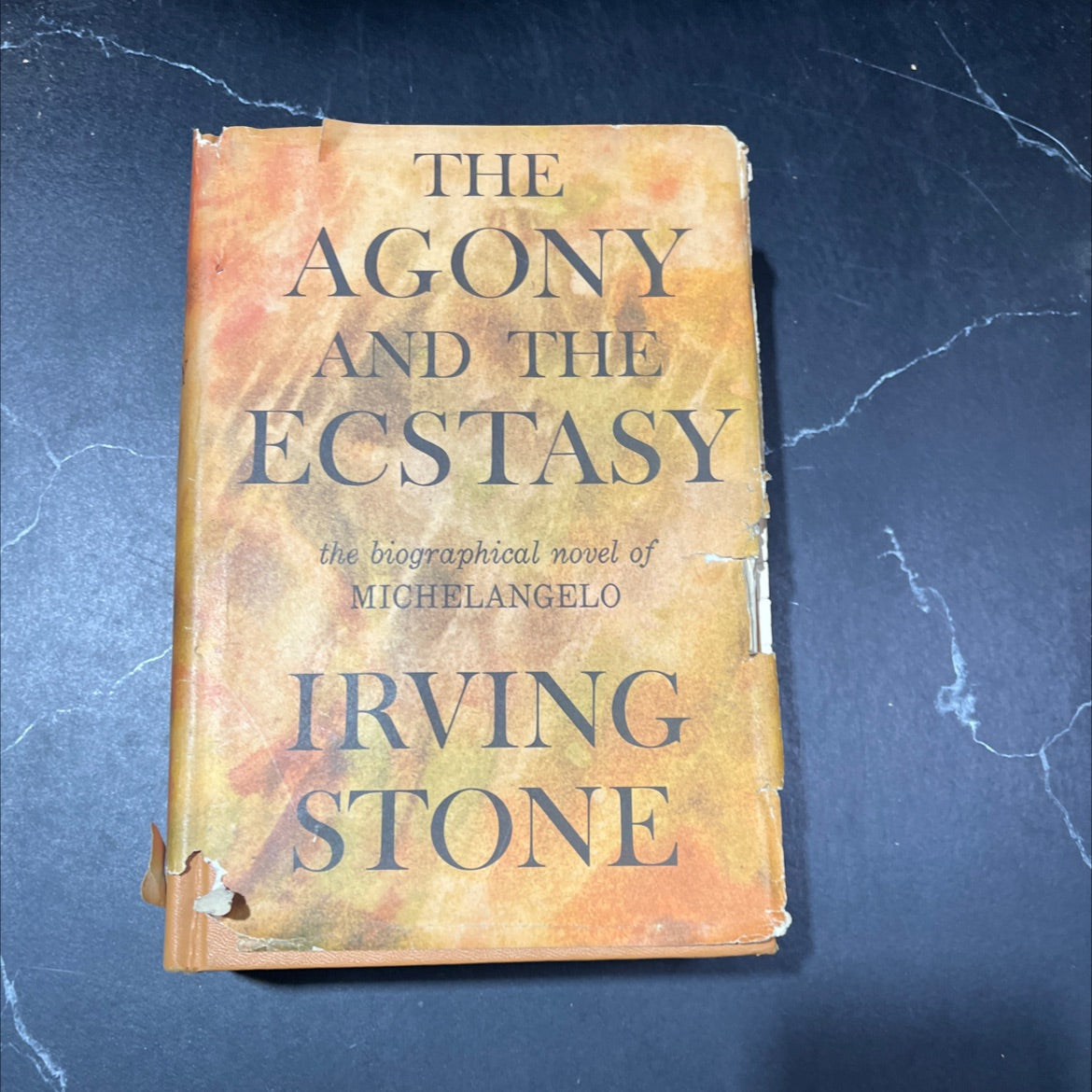 rotterdam the agony and the ecstasy a novel of michelangelo