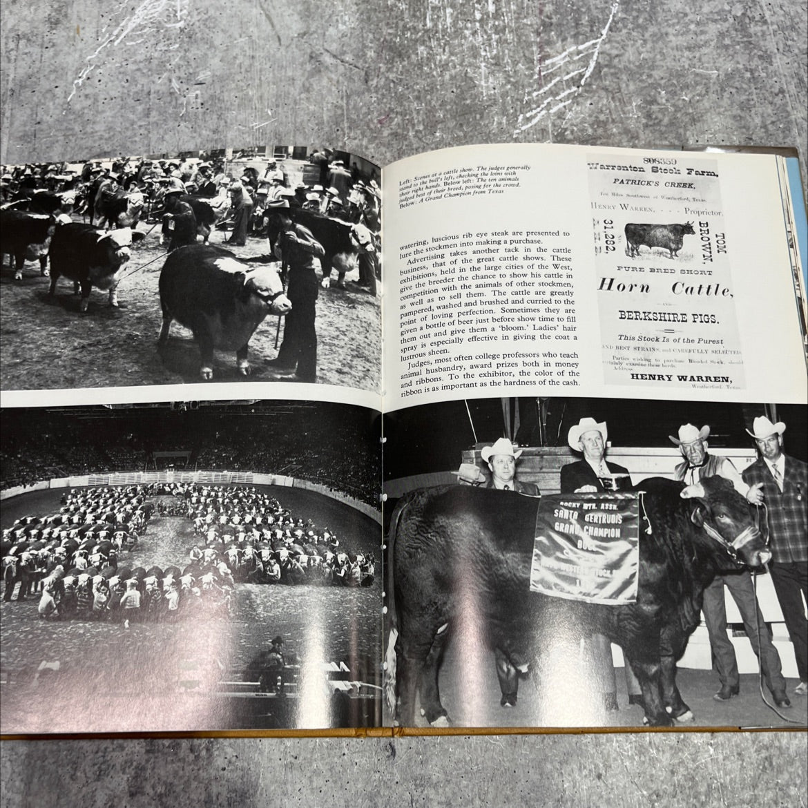 s cowboys the real story of cowboys and cattlemen book, by royal b. hassrick, 1974 Hardcover image 4