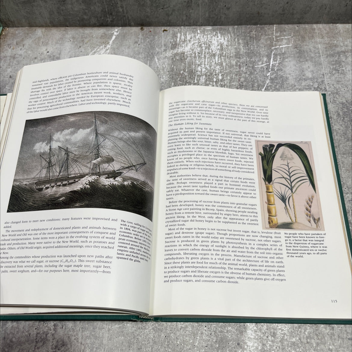 seeds of change a quincentennial commemoration book, by herman j. viola and carolyn margolis, 1991 Hardcover image 4