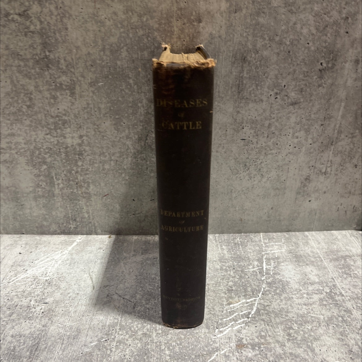 special report on diseases of cattle book, by D. E. Salmon, Drs. Pearson, Murray, Atkinson, Lowe, Harbaugh, Law, image 4