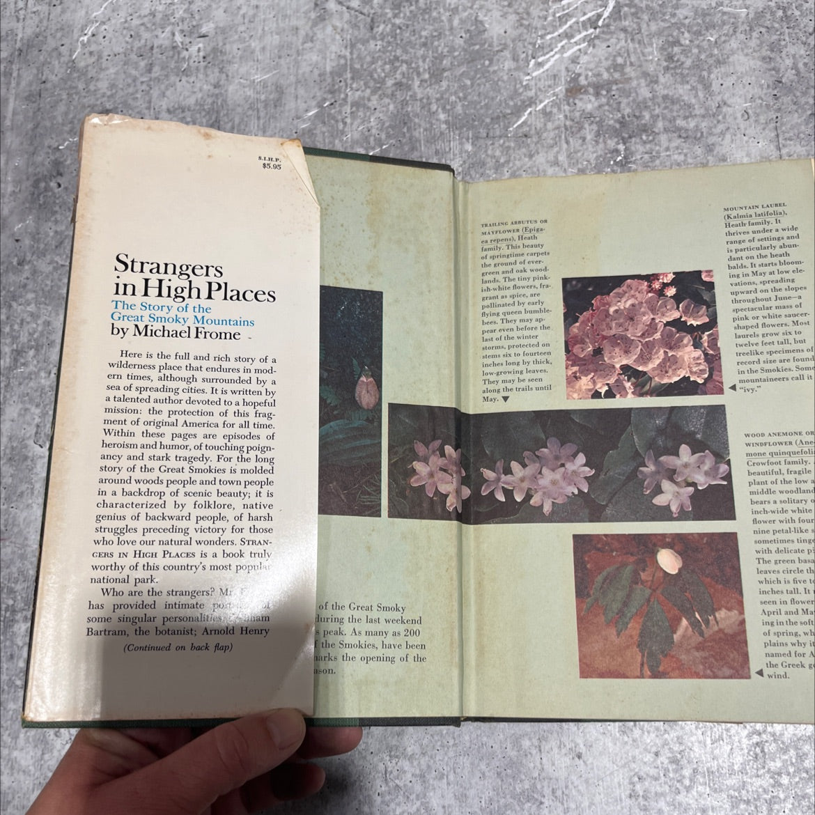 strangers in high places the story of the great smoky mountains book, by michael frome, 1966 Hardcover image 4