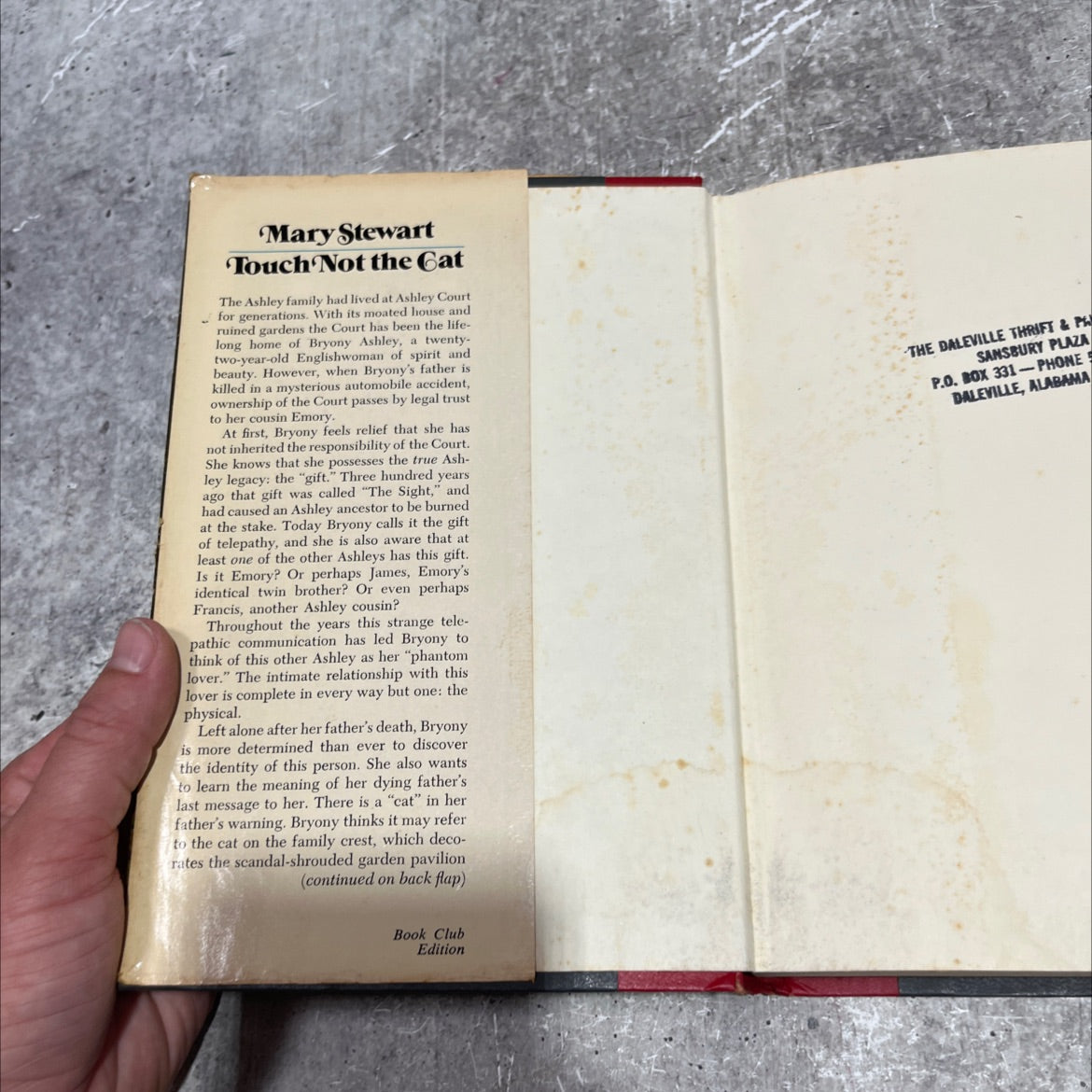 suit ton houot touch not the cat book, by mary stewart, 1976 Hardcover image 4