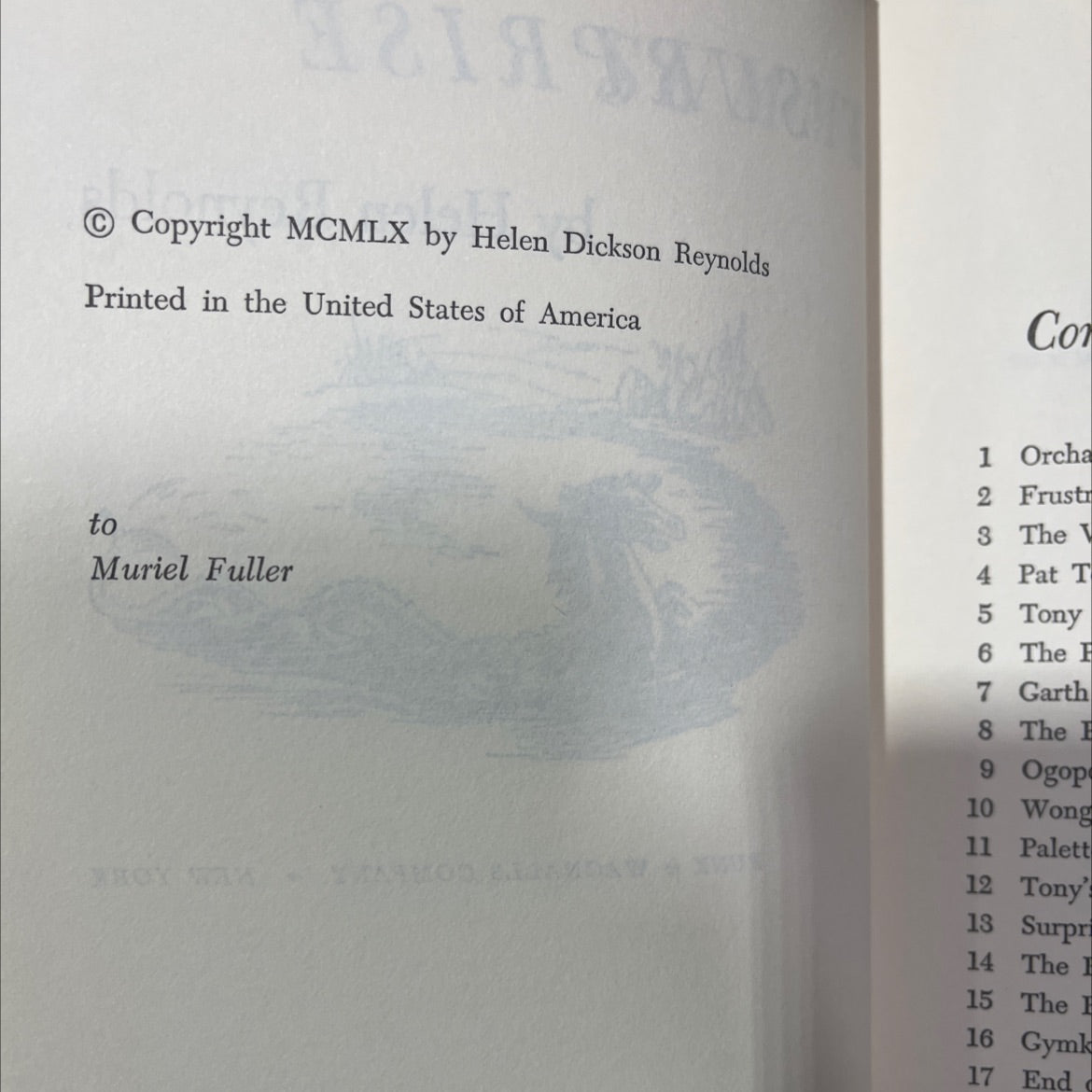 summe of surprise book, by Helen Dickson Reynolds, 1960 Hardcover image 3