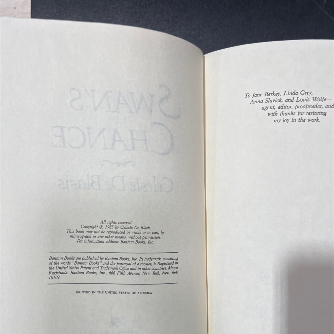 swan's chance book, by celeste de blasis, 1985 Hardcover, Vintage image 3