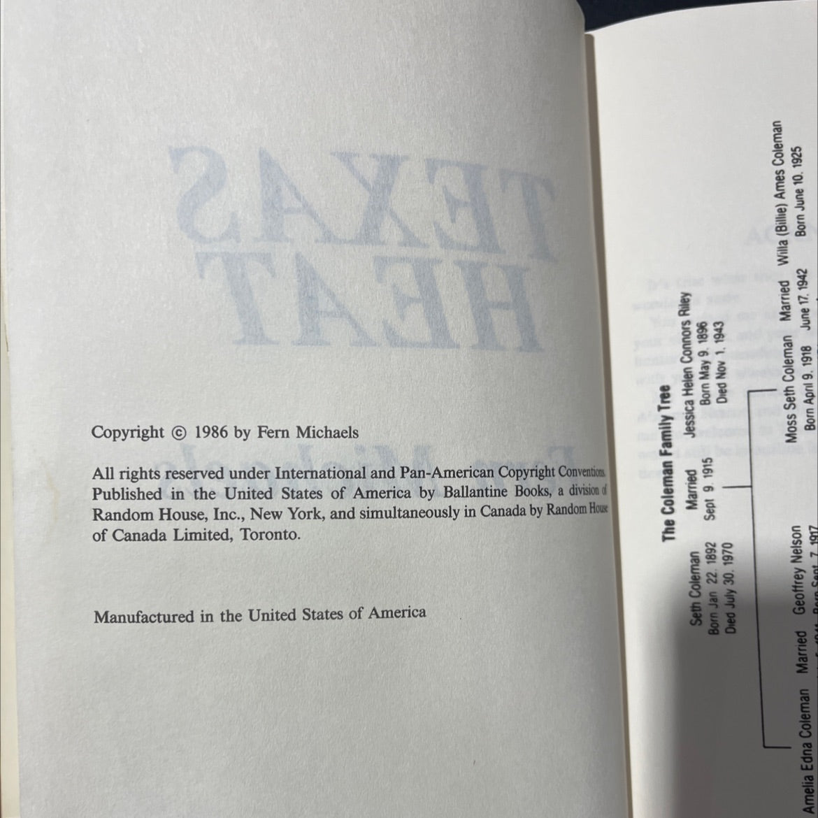 texas heat book, by fern michaels, 1986 Hardcover image 3