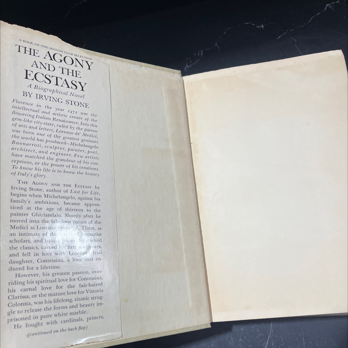 the agony and the ecstasy a novel of michelangelo book, by irving stone, 1961 Hardcover image 4