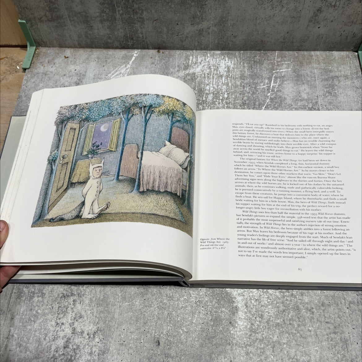 the art of maurice sendak book, by selma g. lanes, 1984 Hardcover image 4