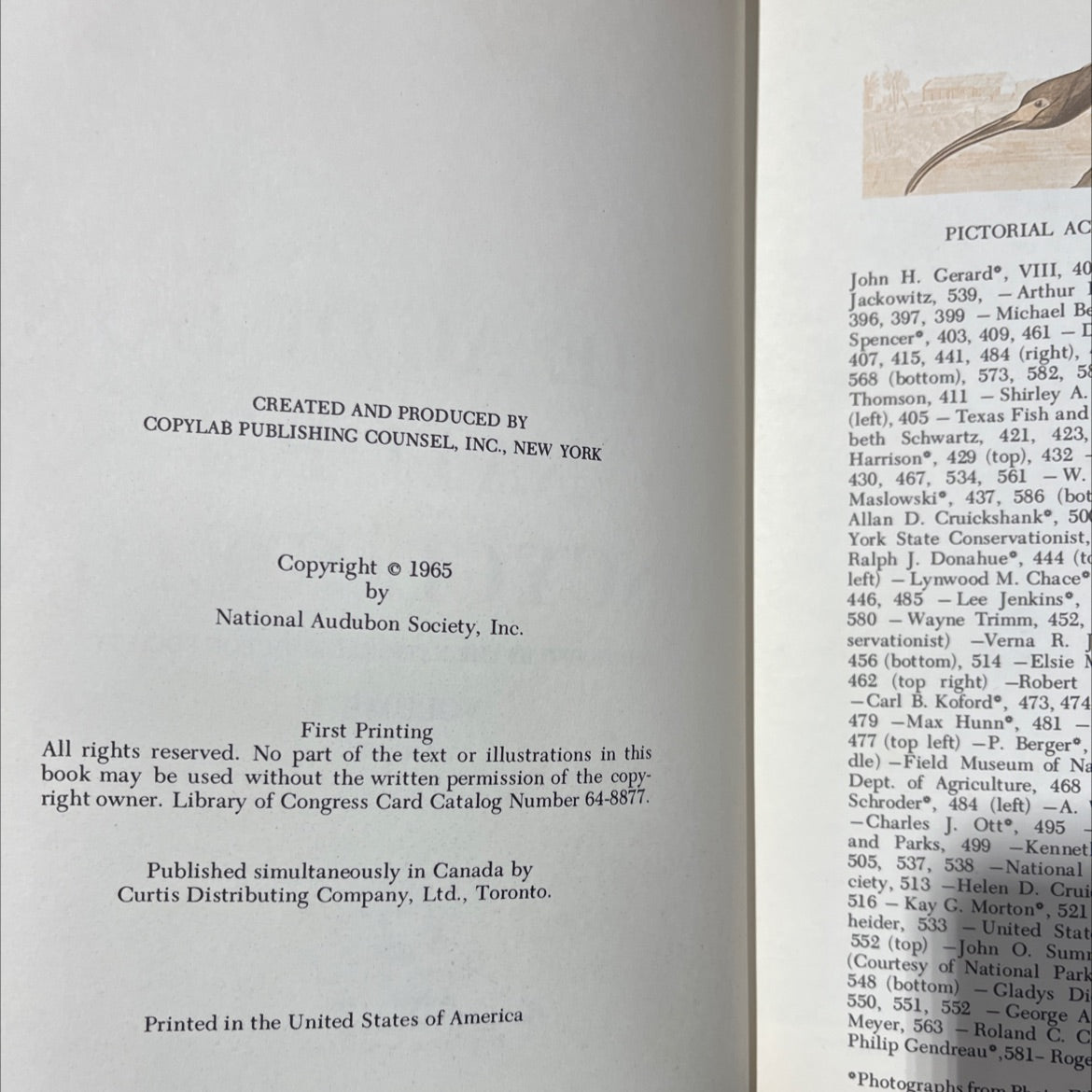 the audubon nature encyclopedia volume 3 ca-ea book, by national audubon society, 1965 Leather image 3