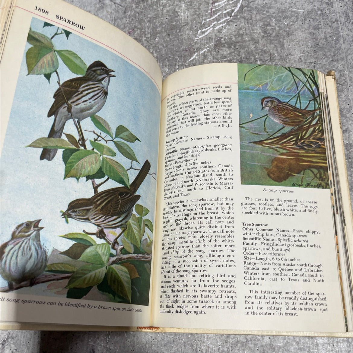 the audubon nature encyclopedia book, by national audubon society, 1971 Hardcover image 4