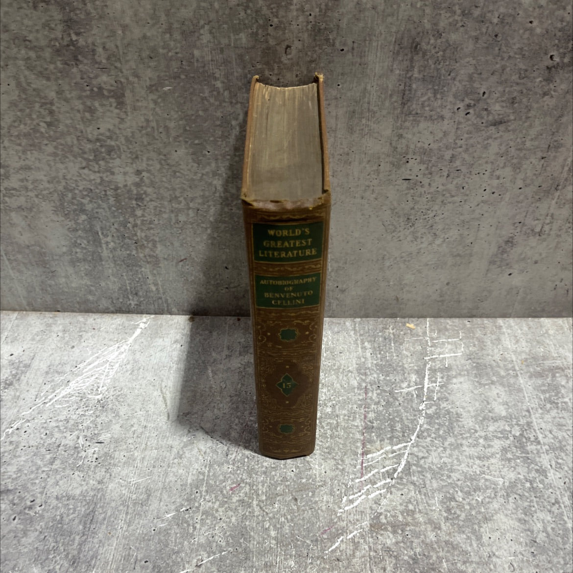 the autobiography of benvenuto cellini a florentine artist containing a variety of information respecting the arts and image 3