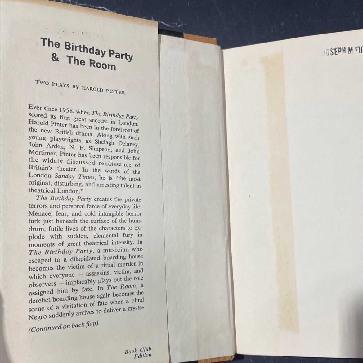 the birthday party and the room book, by harold pinter, 1960 Hardcover image 4