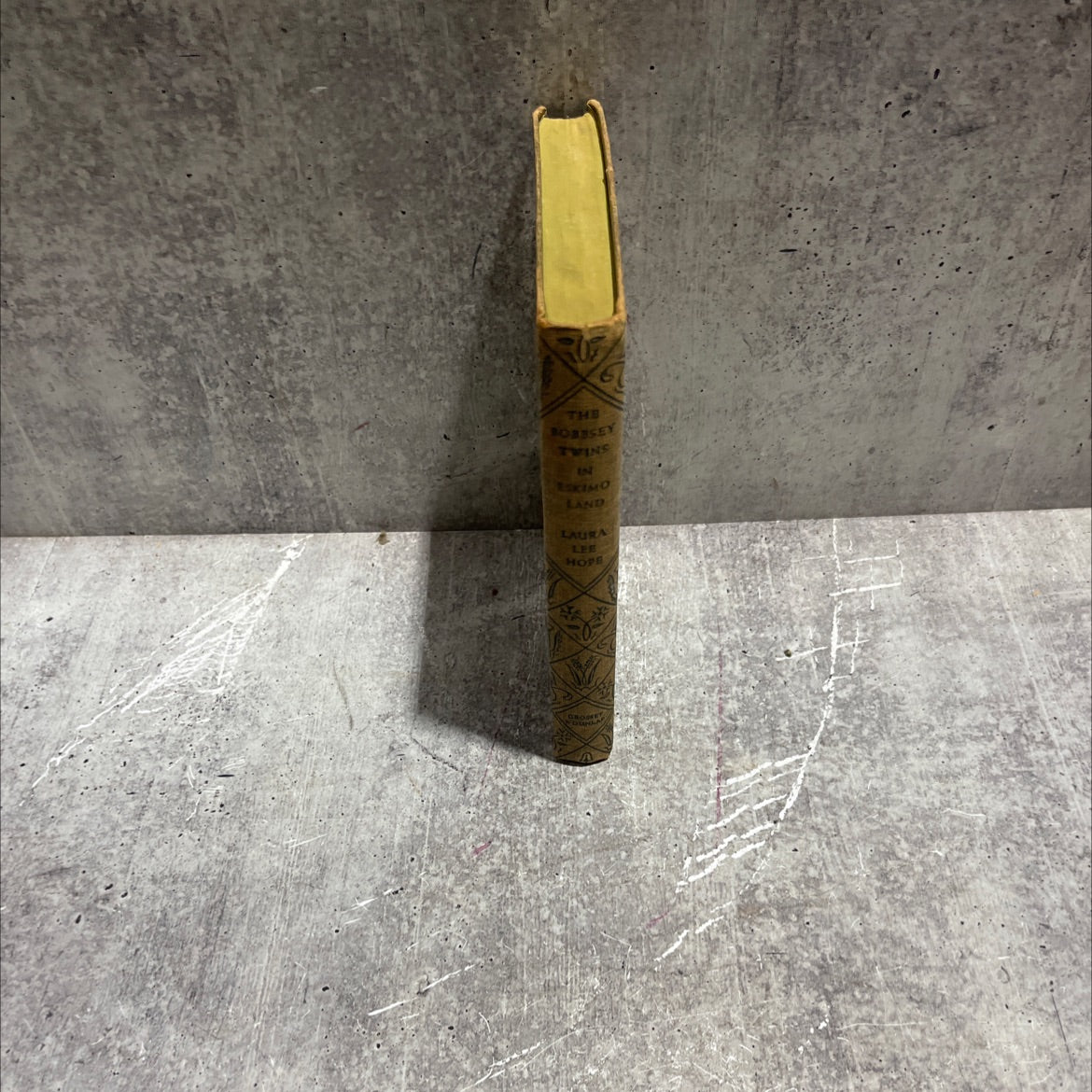 the bobbsey twins in eskimo land book, by laura lee hope, 1936 Hardcover image 4