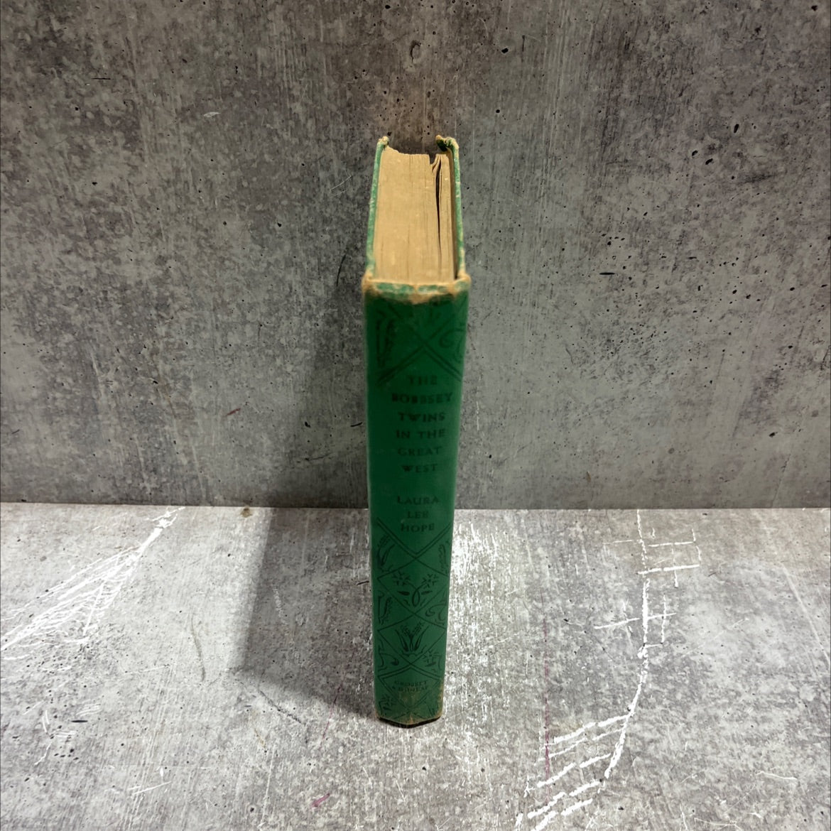 the bobbsey twins in the great west book, by laura lee hope, 1920 Hardcover image 4