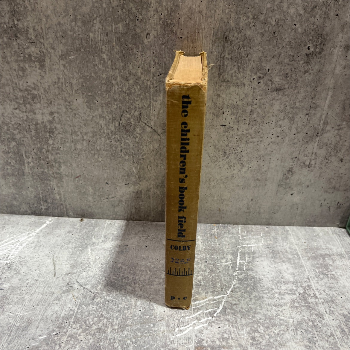 the children's book field book, by jean poindexter colby, 1952 Hardcover image 4