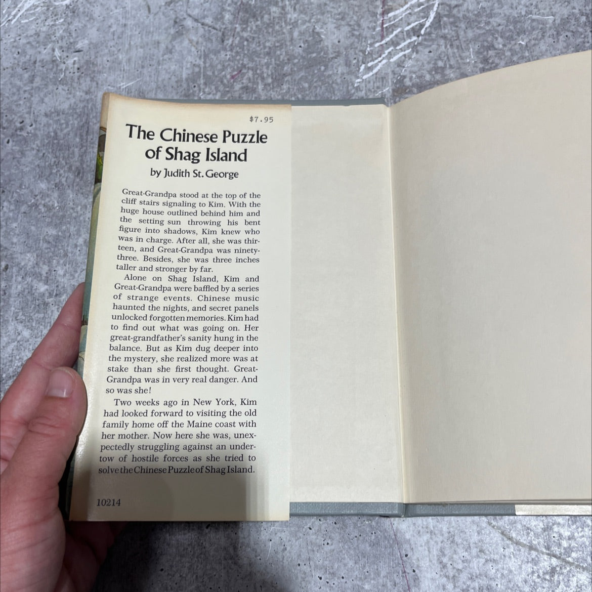 the chinese puzzle of shag island book, by Judith St. George, 1976 Hardcover image 4
