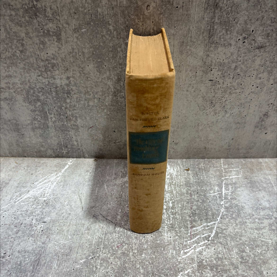 the city of trembling leaves book, by walter van tilburg clark, 1945 Hardcover image 4