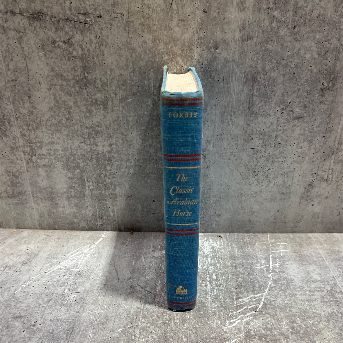 the classic arabian horse book, by judith forbis, 1976 Hardcover image 4