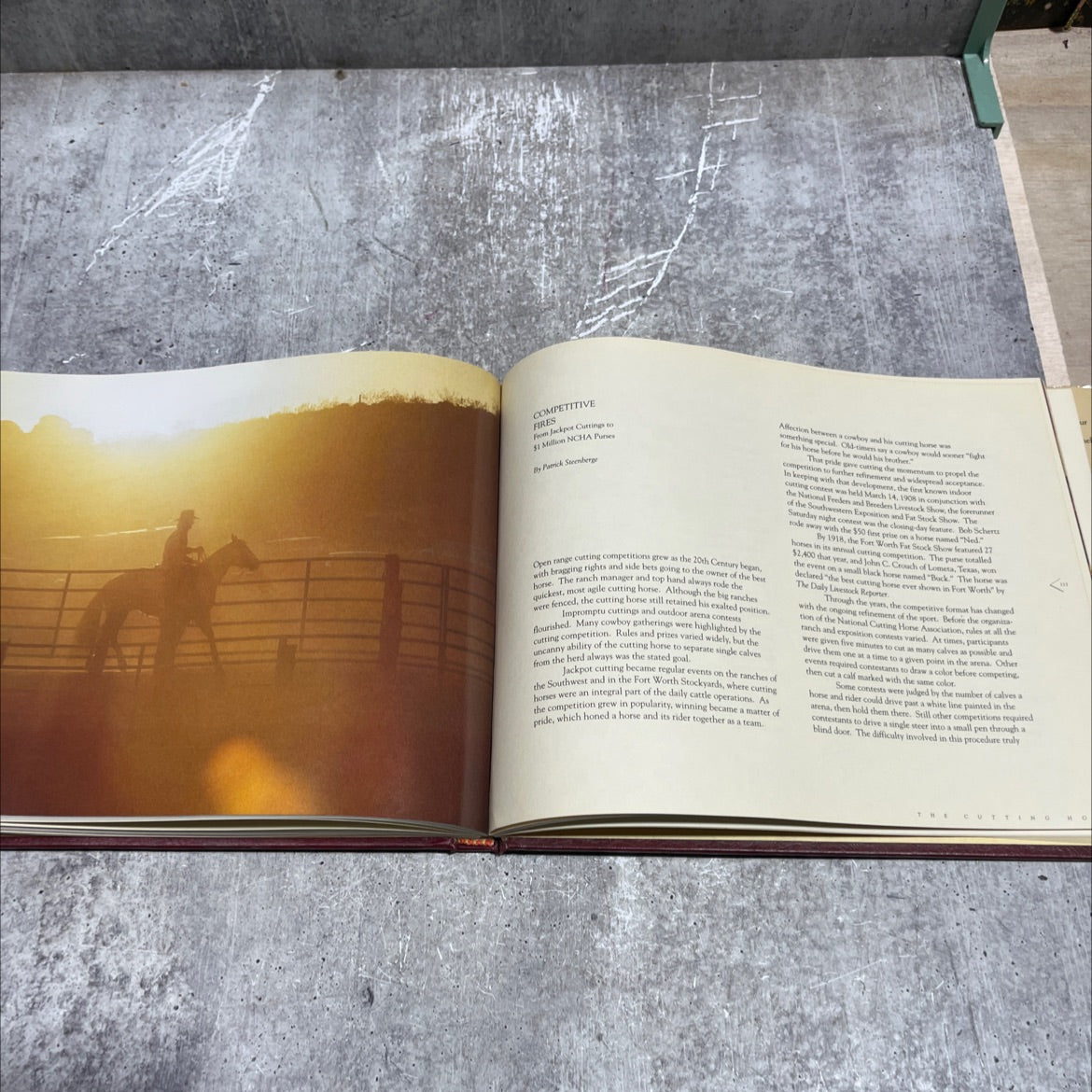 the cutting horse book, by don weller, patrick w. steenberge, robert h. williams, randy witte, 1990 Hardcover image 4