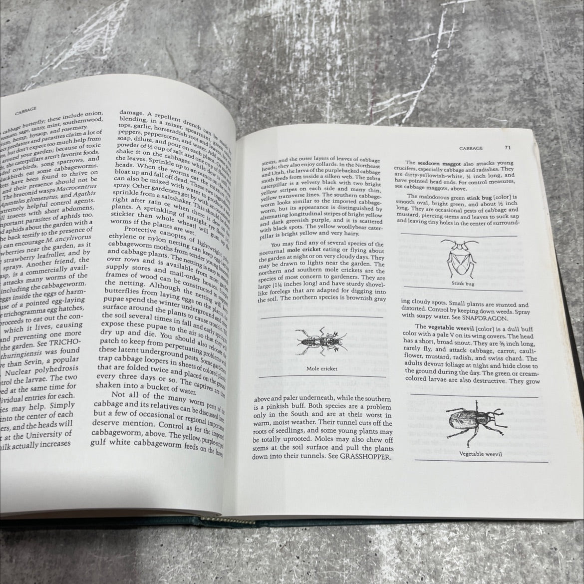 the encyclopedia of natural insect & disease control book, by Roger B. Yepsen, Jr., 1984 Hardcover image 4