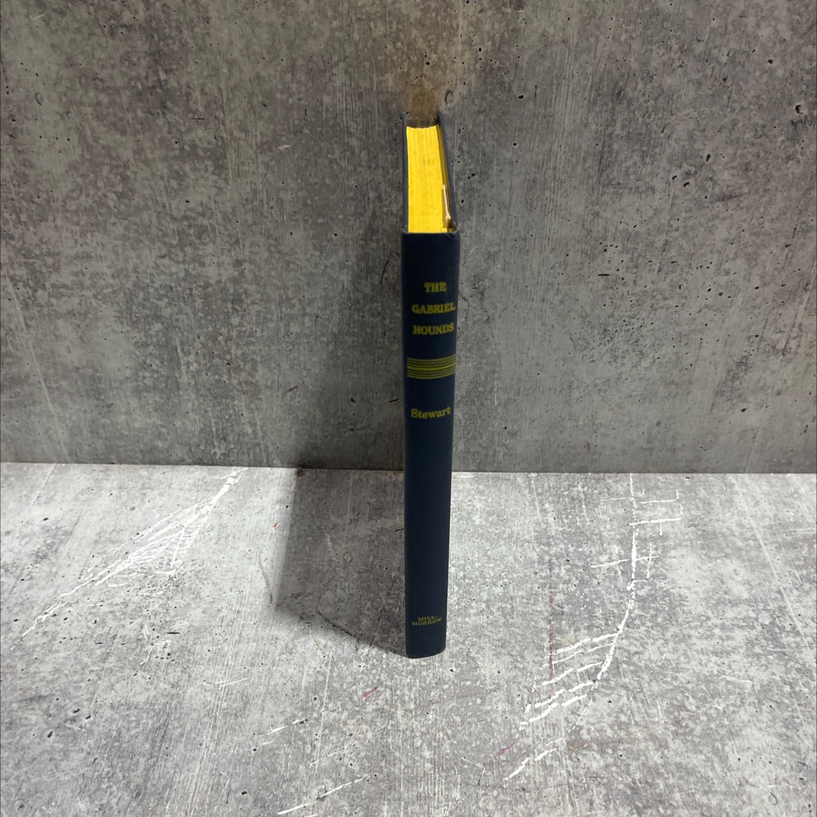 the gabriel hounds book, by Mary Stewart, 1967 Hardcover image 4