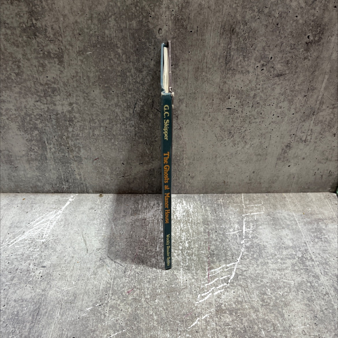 the ghosts at manor house book, by g. c. skipper, 1978 Hardcover image 4