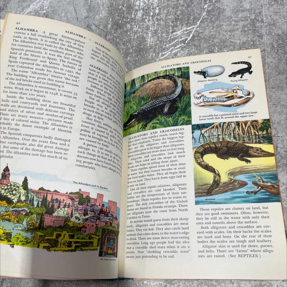 the golden book encyclopedia volume i-aardvark to army book, by bertha morris parker, 1959 Hardcover image 4