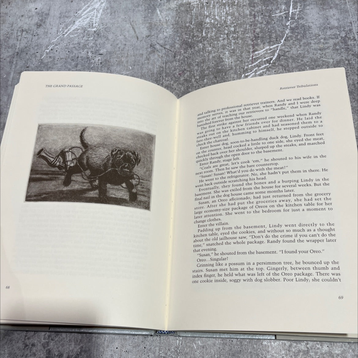 the grand passage a chronicle of north american waterfowling illustrated with watercolor paintings and original image 4