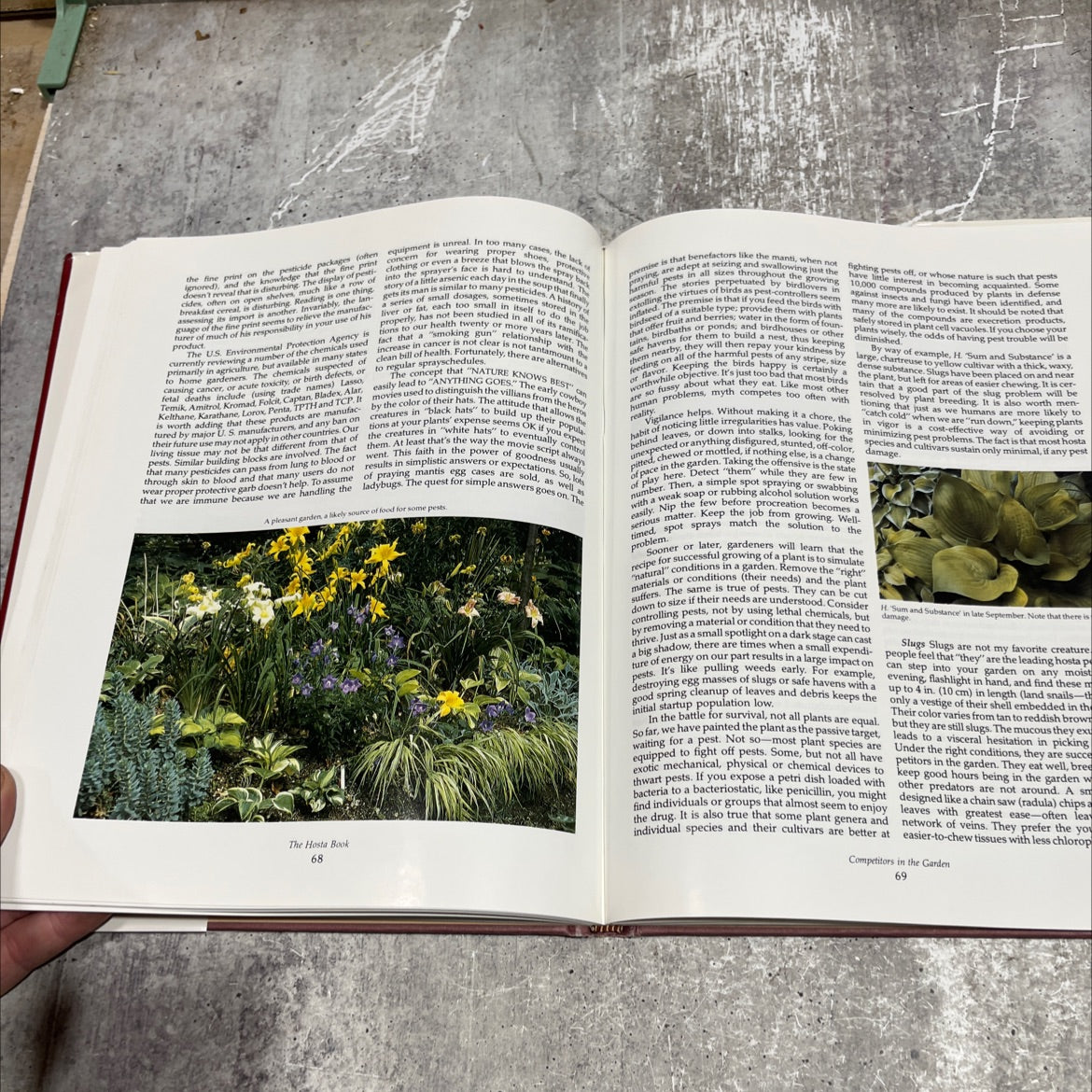 the hosta book making sense of gardening book, by Paul Aden, 1989 Hardcover image 4