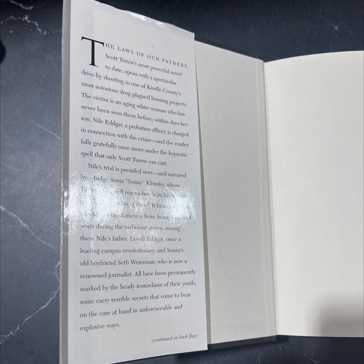 the laws of our fathers book, by scott turow, 1996 Hardcover image 4