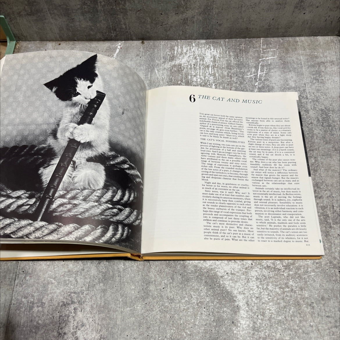 the life, history and magic of the cat book, by fernand mery, 1968 Hardcover image 4